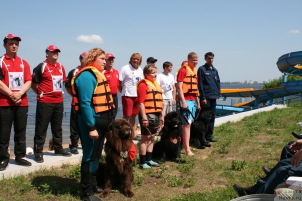 Фото: Liliana Rahmatova (Лилиана Рахматова), ньюфаундленд YUdjin s Berega Dona (Юджин с Берега Дона)