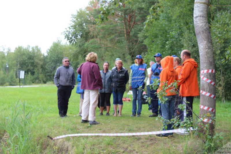 Фотография № 189431