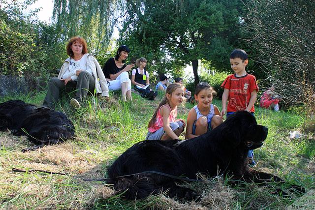 Фотография № 18944