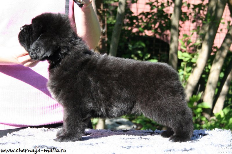 Фотография № 189449