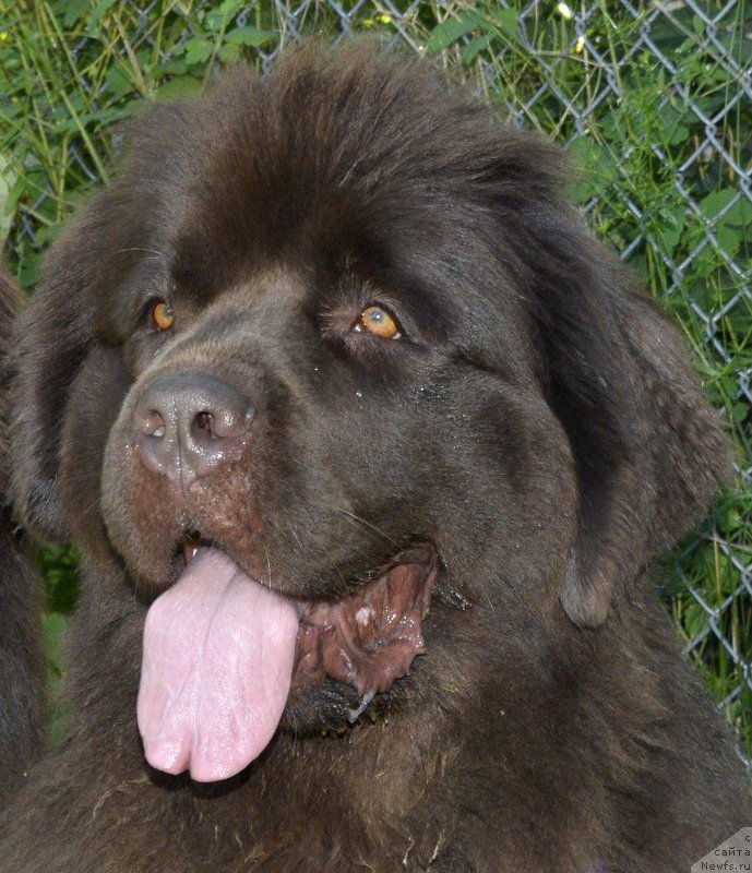 Фотография № 189494