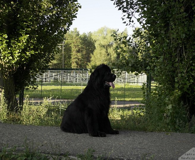 Фотография № 189557