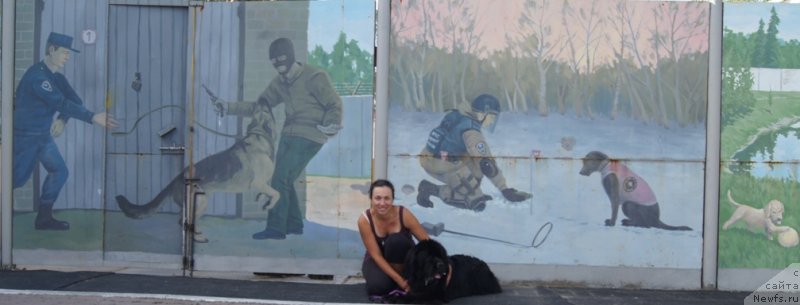 Фотография № 189560