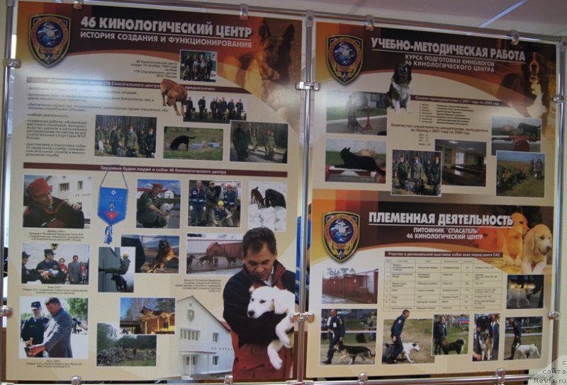 Фотография № 189563