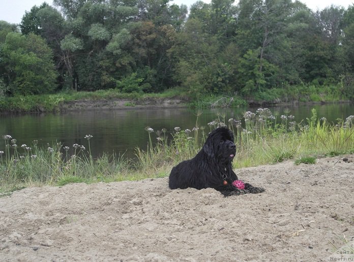 Фотография № 189572