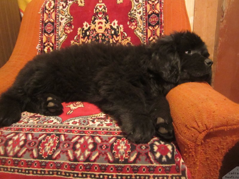 Фото: Natal'ya Smazchikova (Наталья Смазчикова)