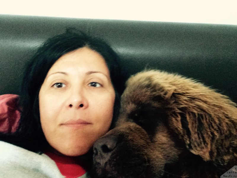 Фотография № 189600