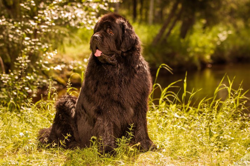 Фотография № 189601