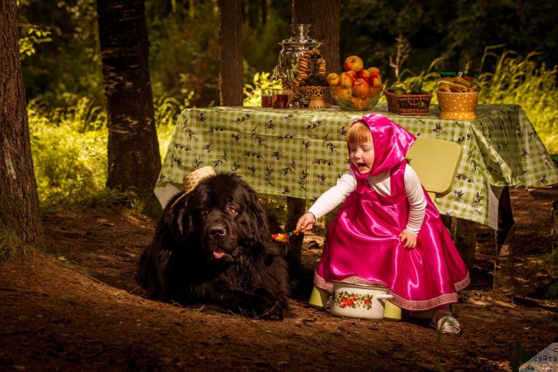 Фотография № 189603