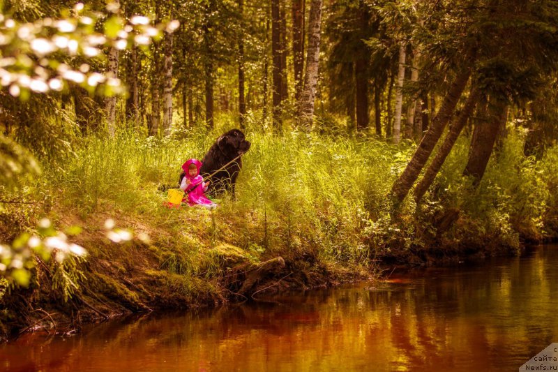 Фотография № 189605