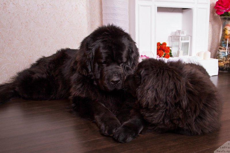 Фотография № 189641