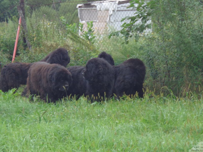 Фото: Коллектив)))