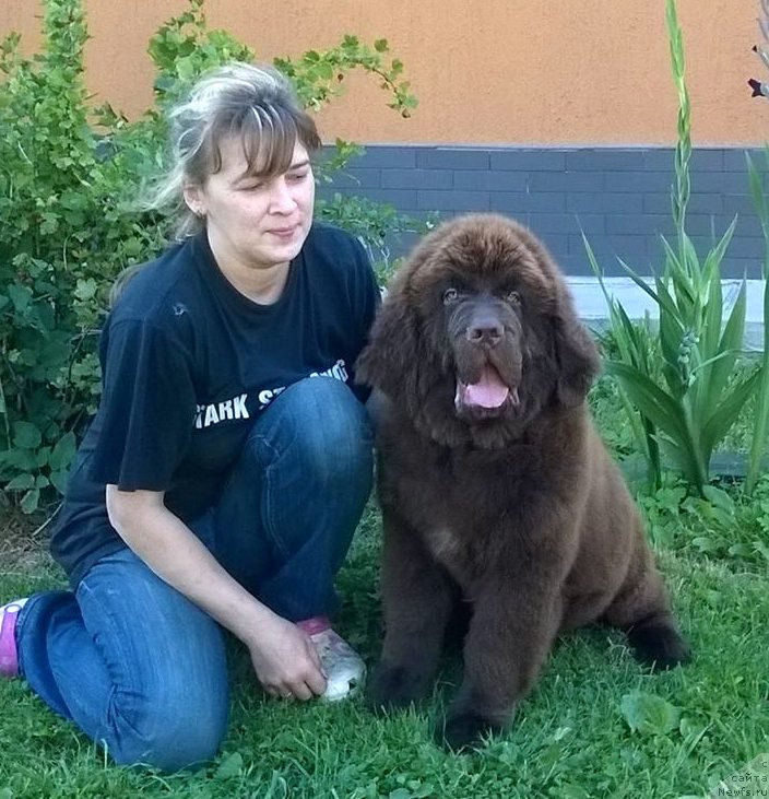 Фотография № 189668