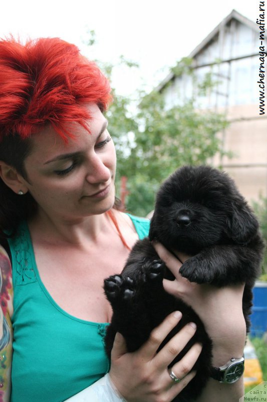 Фотография № 189696