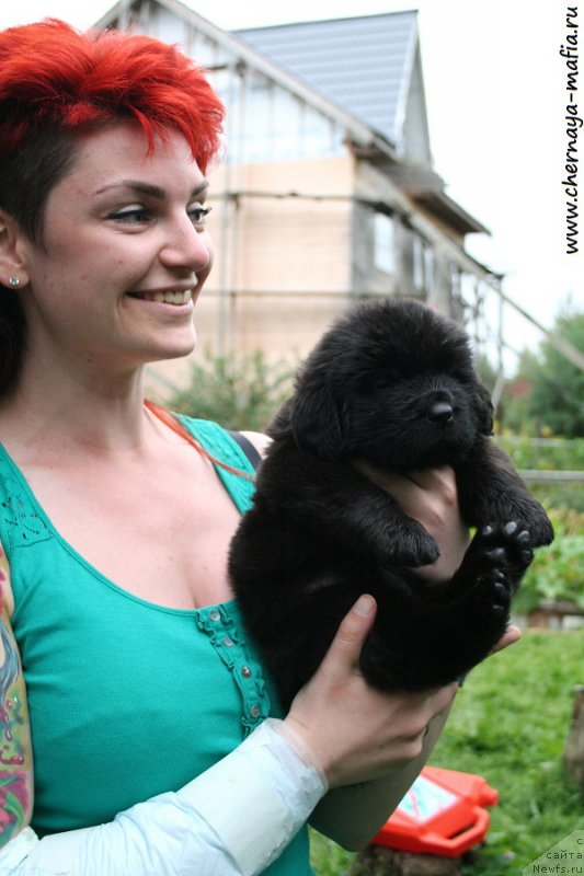 Фотография № 189697