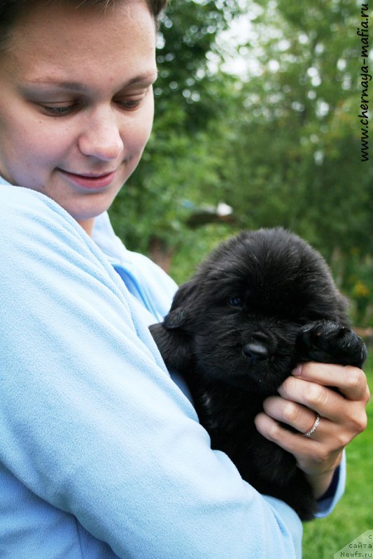 Фотография № 189699