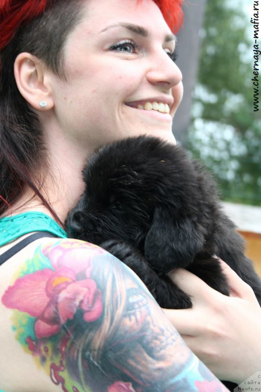 Фотография № 189700