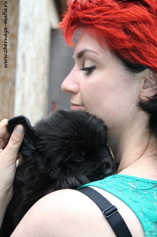 Фотография № 189702