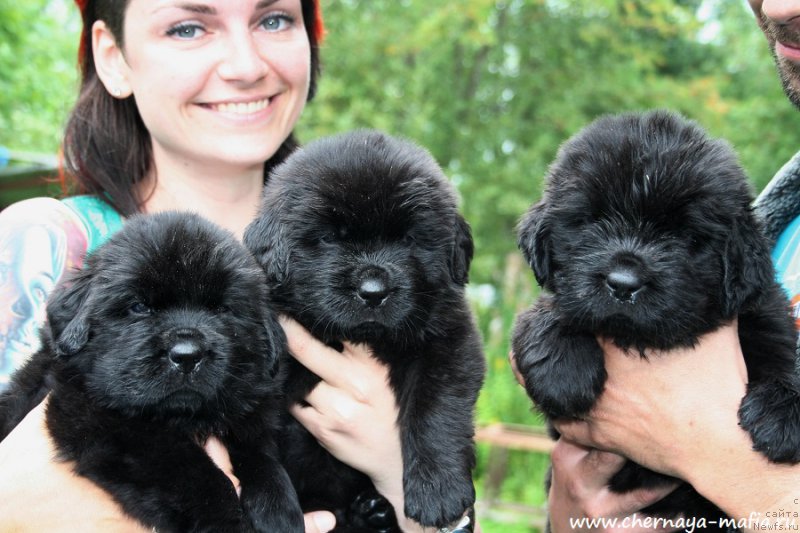 Фотография № 189705