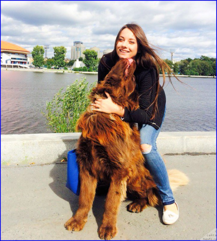 Фотография № 189706