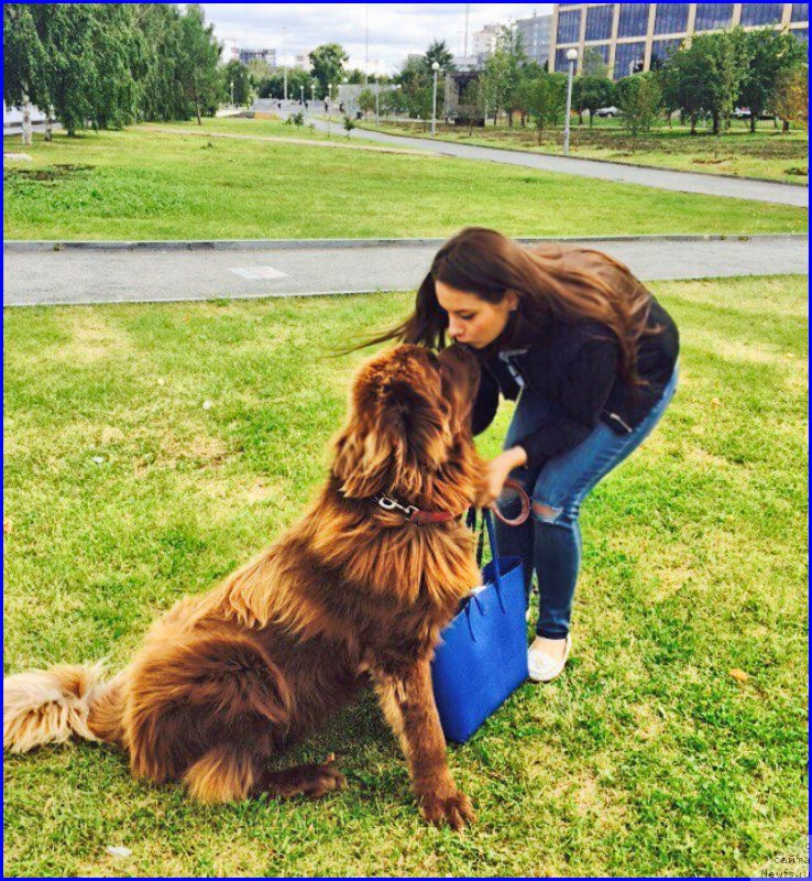 Фотография № 189709