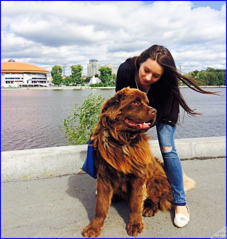 Фотография № 189710