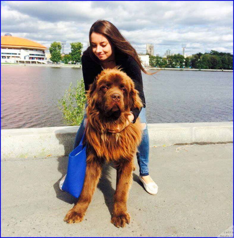 Фотография № 189719