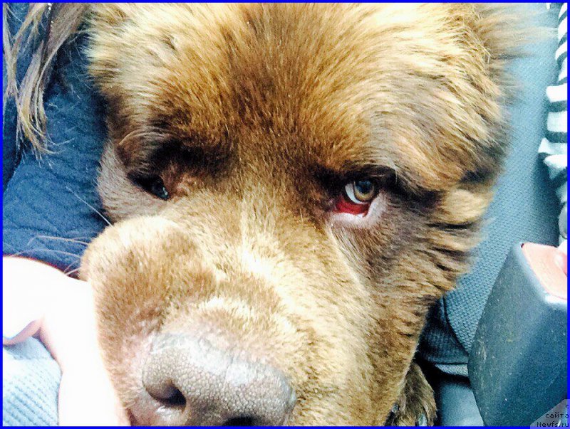 Фотография № 189720