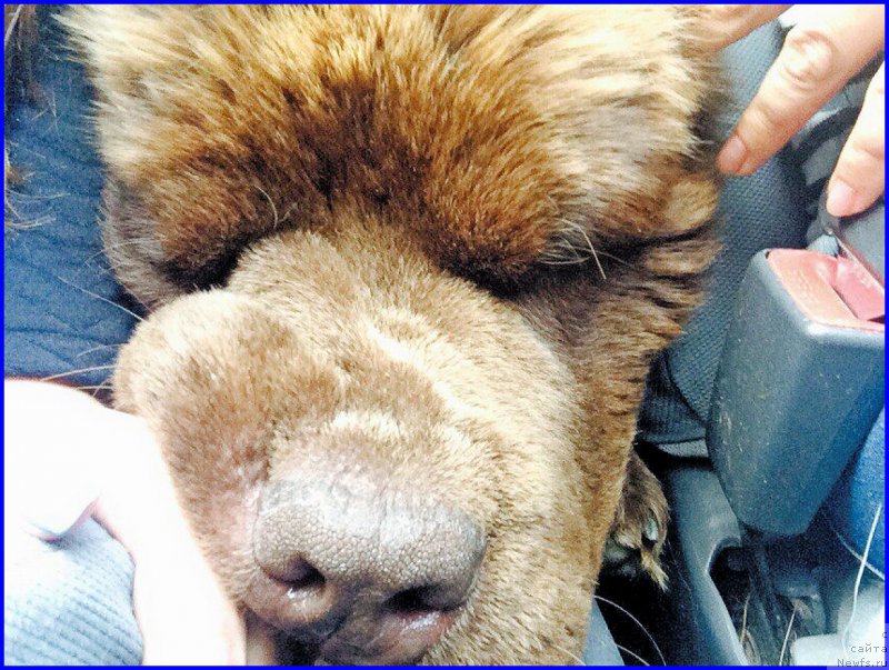 Фотография № 189722