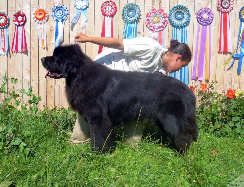 Фотография № 189723