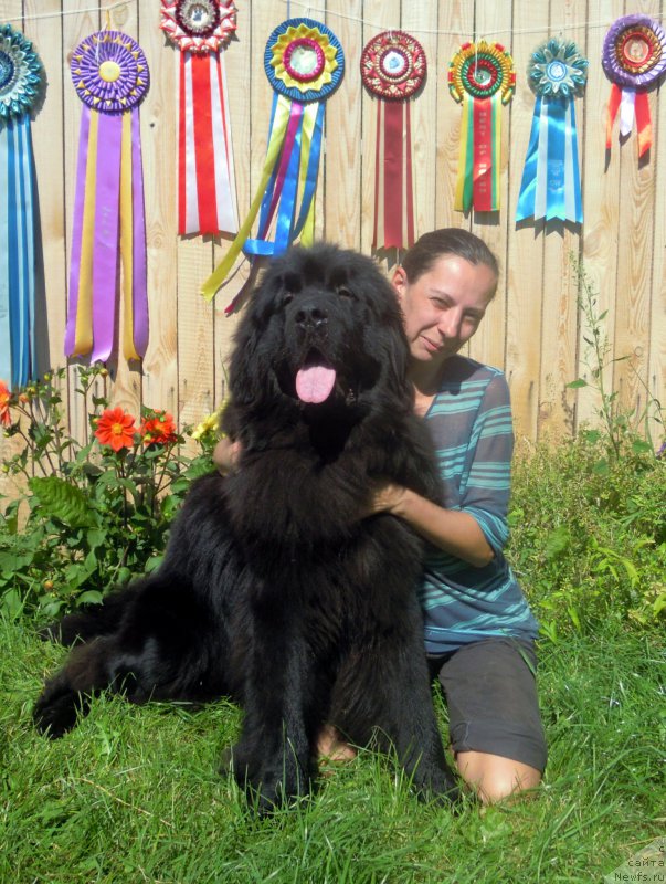 Фотография № 189724