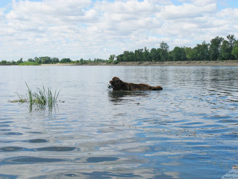 Фотография № 189762