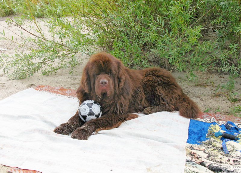 Фотография № 189764