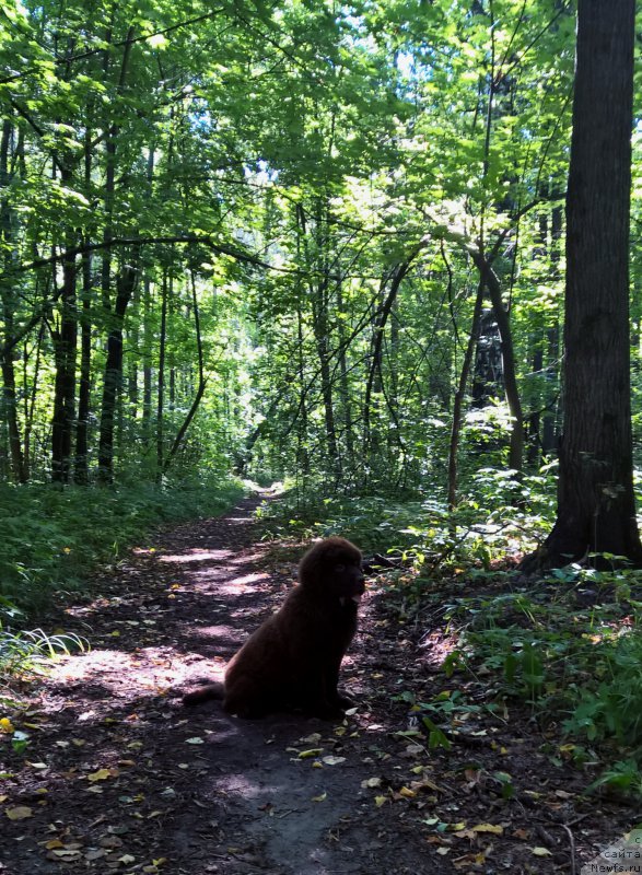 Фотография № 189765