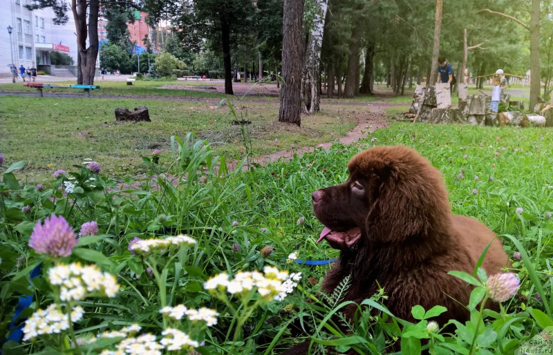 Фотография № 189769