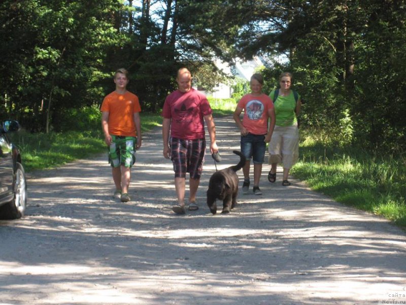 Фотография № 189790