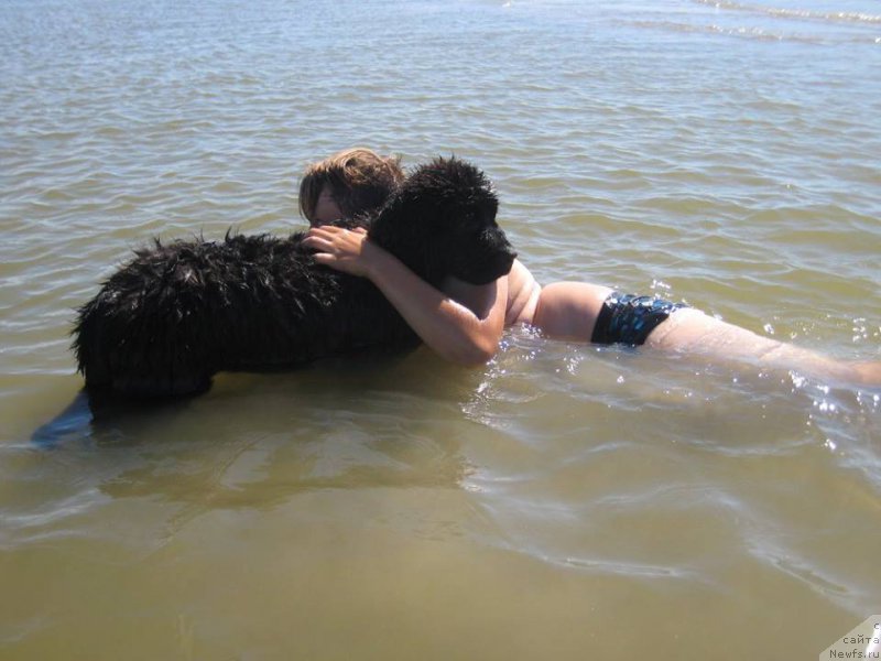 Фотография № 189793