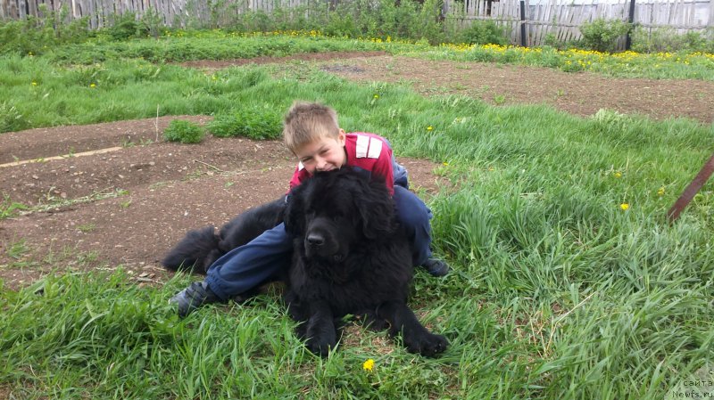 Фотография № 189797