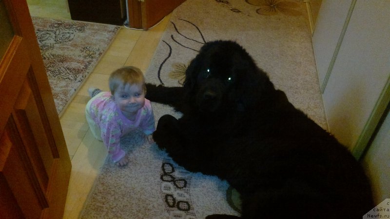 Фотография № 189798