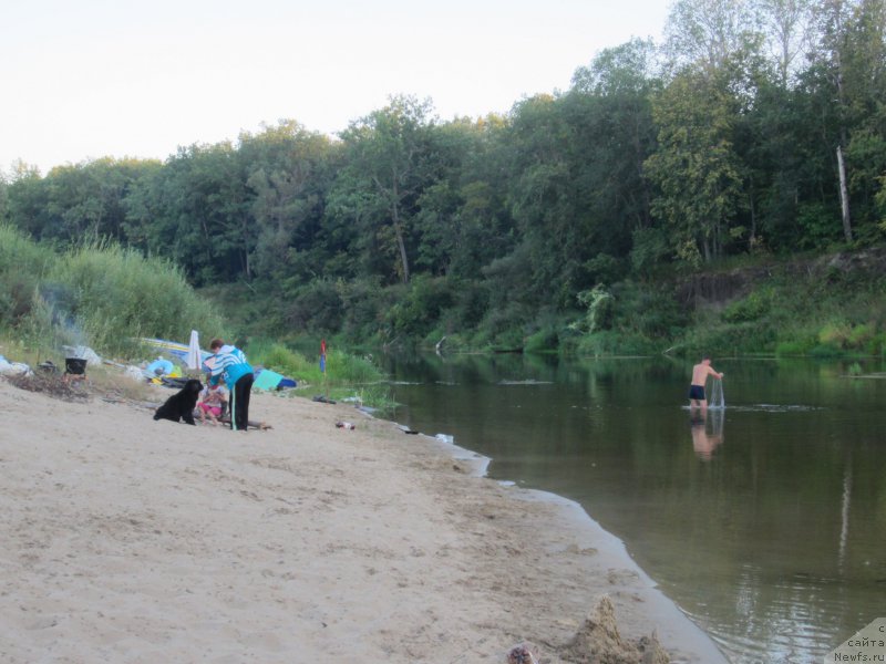 Фотография № 189810