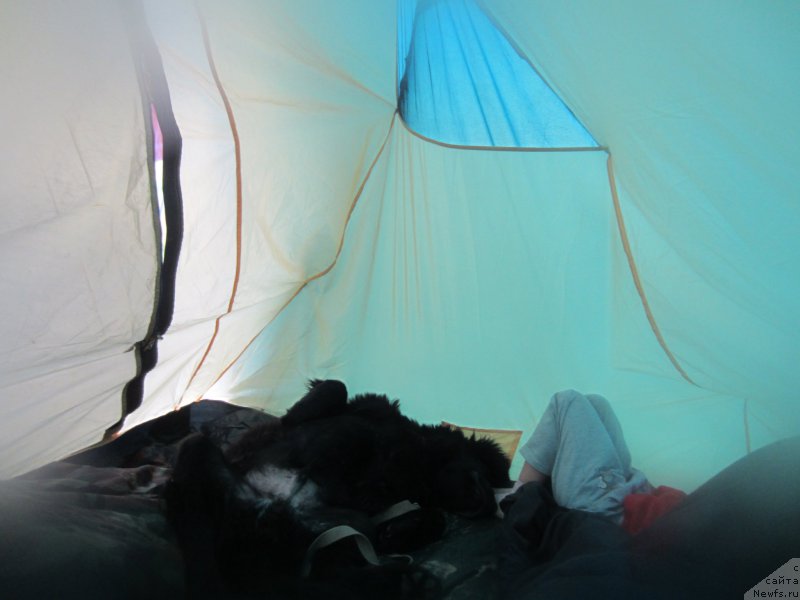 Фотография № 189812