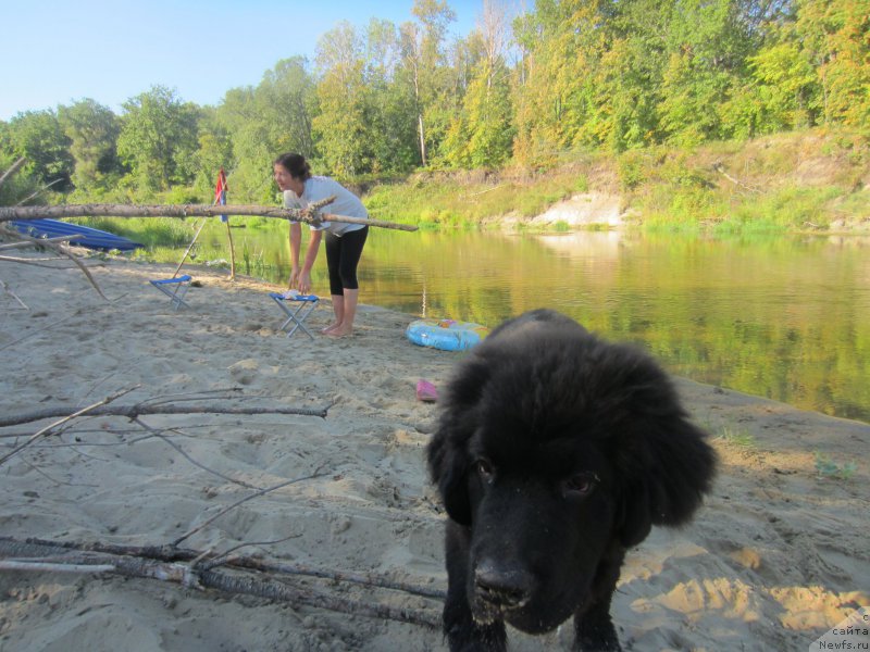 Фотография № 189814