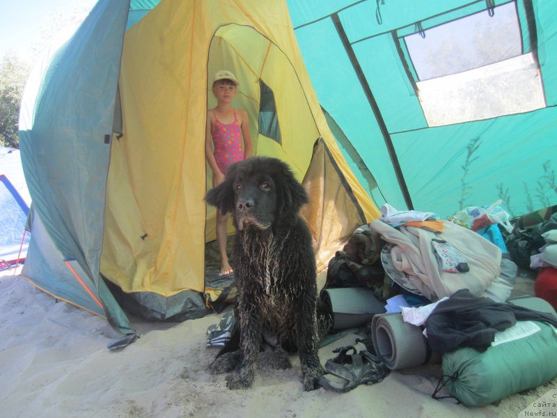 Фотография № 189816