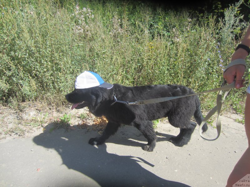 Фотография № 189817