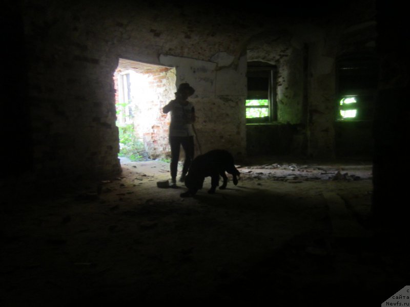 Фотография № 189821