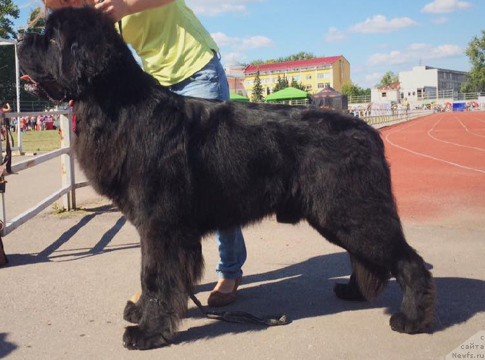 Фотография № 189826