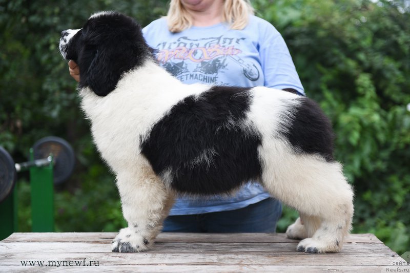 Фотография № 189836