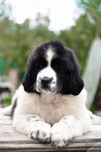 Фотография № 189840