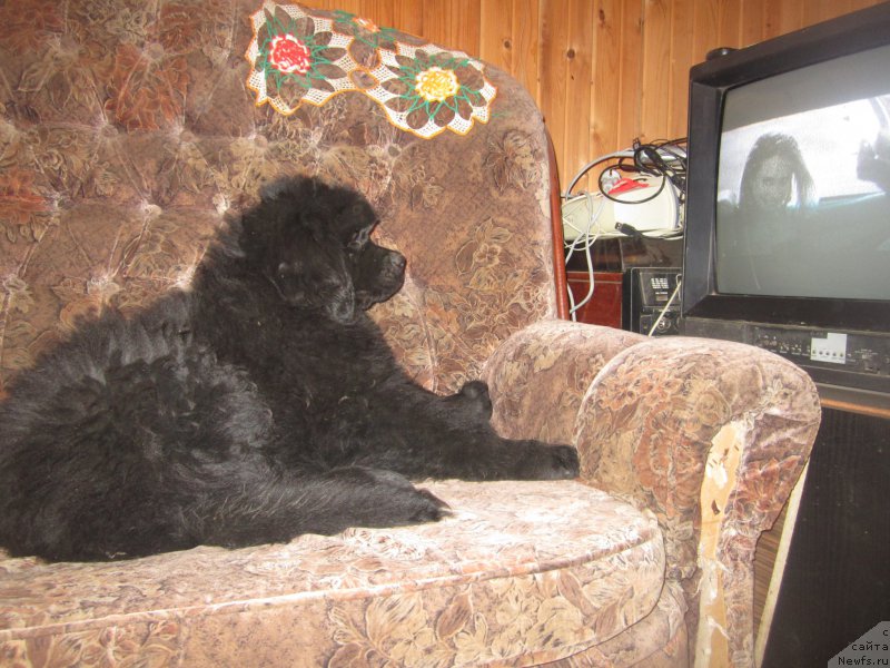 Фото: Natal'ya Smazchikova (Наталья Смазчикова)