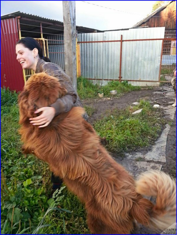 Фотография № 189854